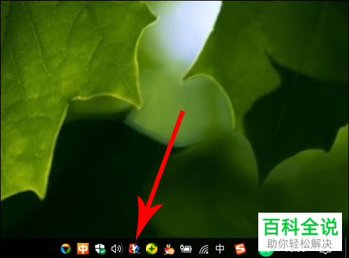 怎么用电脑上的小鸟壁纸软件来设置动态壁纸？