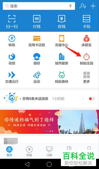 在蚂蚁庄园中小鸡的姓名怎么设置隐藏