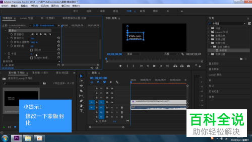 怎么用Pr软件去除视频或图片上的水印