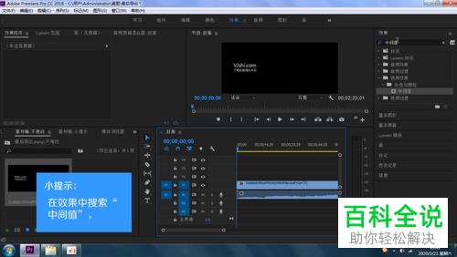 怎么用Pr软件去除视频或图片上的水印