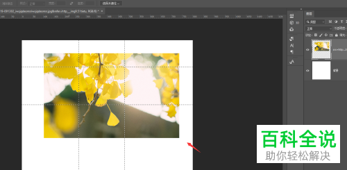 怎么在Photoshop软件中制作分割图片效果?