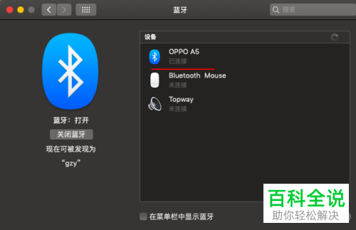 怎么在oppo手机中通过蓝牙共享数据网络给苹果电脑？