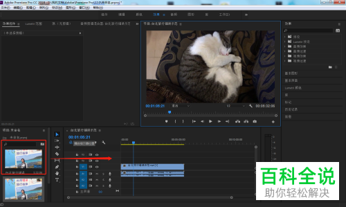 怎么在Pr打开全屏预览