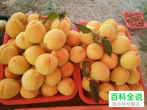 怎么制作抖音原创作品