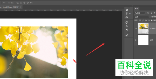 怎么在Photoshop软件中制作分割图片效果?