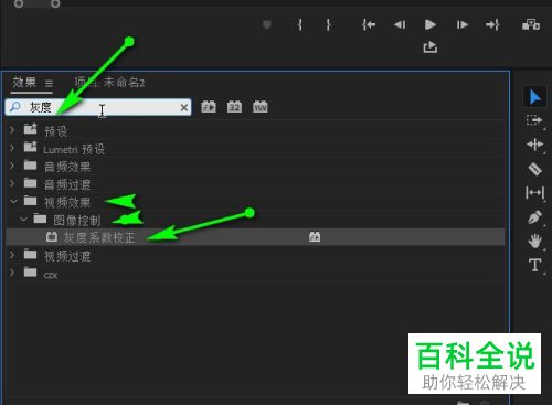 怎么在PR软件中对视频素材的灰度系数进行调整