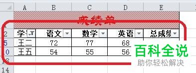 怎么在Excel表格中进行模糊筛选