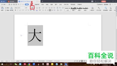 怎么在WPS中设置文字大小？
