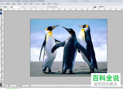 怎么在电脑版Photoshop中使用切片来划分图片