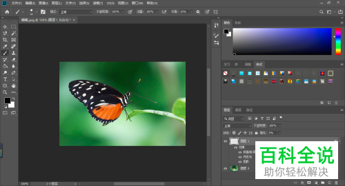 怎么在PS软件中给图片制作露水的水珠效果