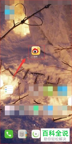 怎么在手机微博中对显示手机机型进行修改？