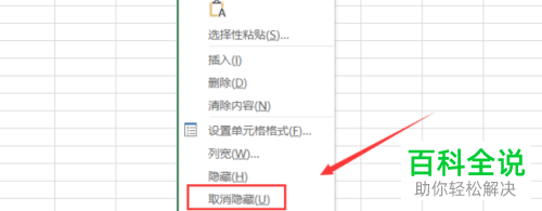 怎么在excel表格中设置批量隐藏或显示单元格