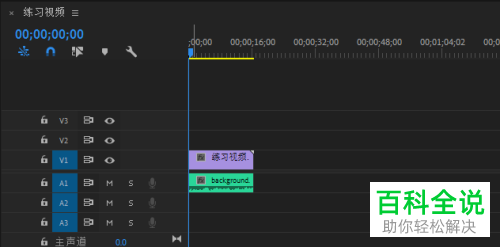 怎么在PR软件中设置显示工作区域栏