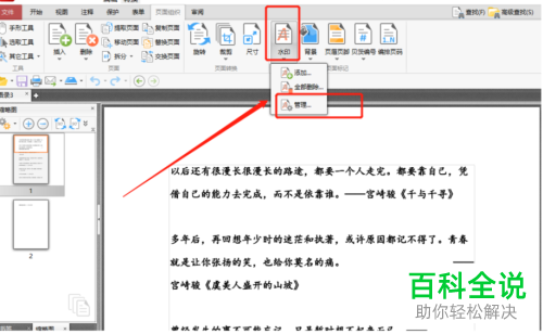 怎么在电脑版闪电PDF编辑器中更改文件的水印