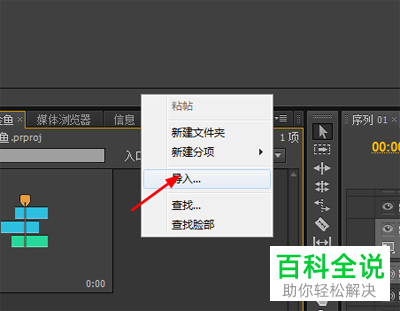 怎么在premiere的时间轴上对图片的透明度进行调整