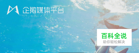 怎么注册企鹅号入驻企鹅媒体平台