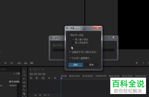 怎么在Pr中导入项目文件