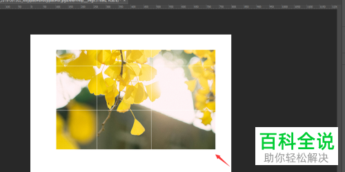 怎么在Photoshop软件中制作分割图片效果?