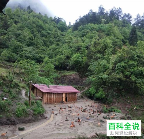 怎么制作抖音原创作品