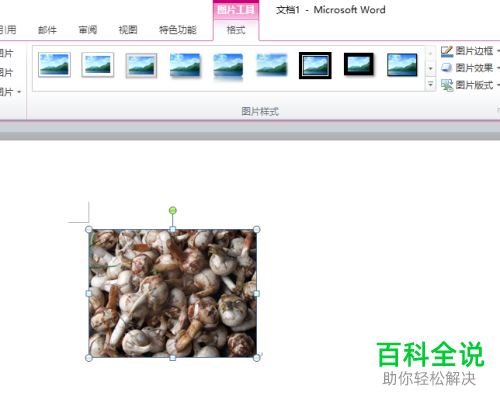 怎么在word2010软件中将插入的图片设置为黑色双框架