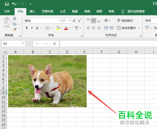 怎么在excel2019里插入联机图片？