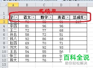怎么在Excel表格中进行模糊筛选