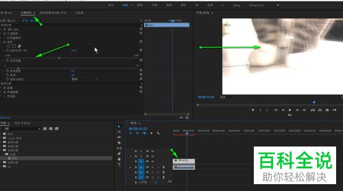 怎么在PR软件中给视频添加残影效果