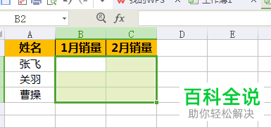 怎么在电脑wps软件中对他人输入的数据长度进行限制