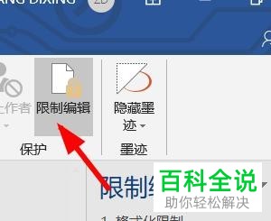怎么在Word文档中设置限制格式化