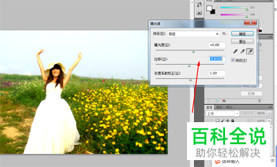 怎么在photoshop软件中给图片偏暗淡的色彩进行调整