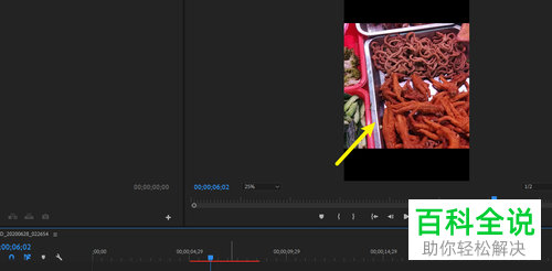 怎么在电脑版pr中放置视频在图片上