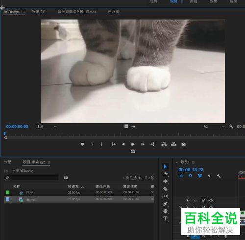 怎么在PR软件中给视频添加残影效果