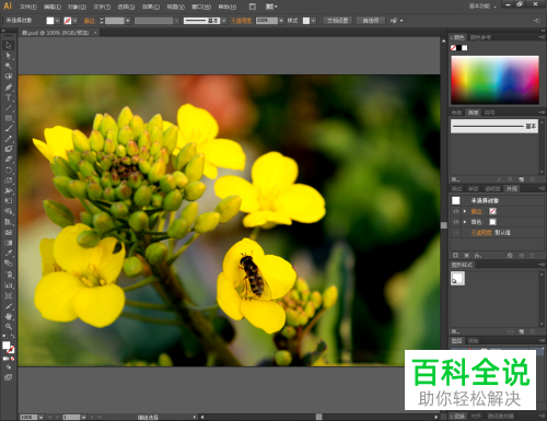 怎么在电脑版Ai中导出格式为pdf的图片
