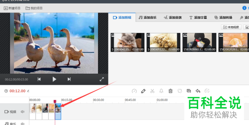 怎么在快剪辑软件中制作电子相册