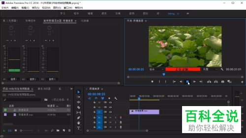 怎么在电脑版PR中添加视频的配音