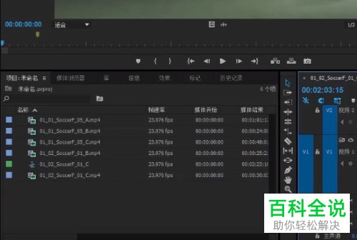 怎么在电脑版PR为视频添加颜色遮罩