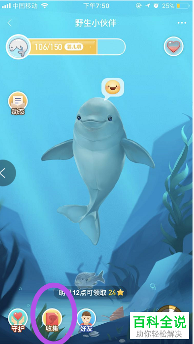 怎么在淘宝的野生小动物中查看已收集的图鉴?