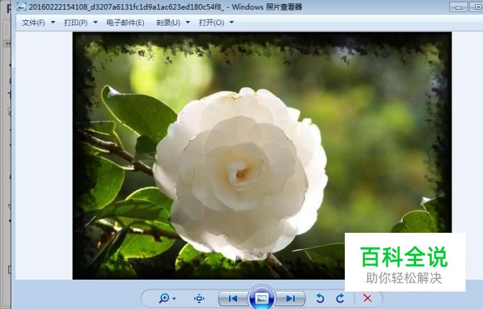 怎么制作水墨效果的模切边