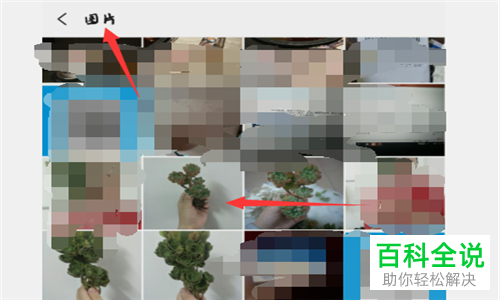 怎么在微信中把自己拍摄的照片存为聊天表情？