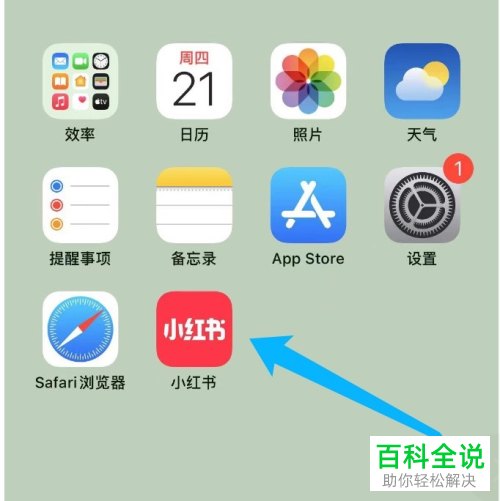 怎么在小红书中设置学校信息