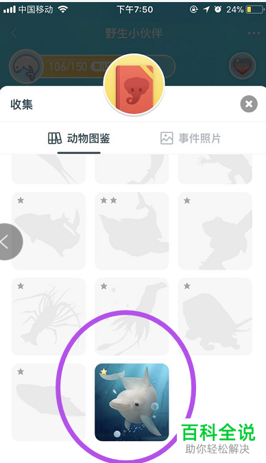 怎么在淘宝的野生小动物中查看已收集的图鉴?