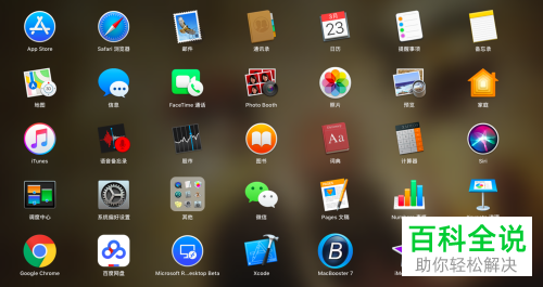 怎么在苹果电脑的pages软件中插入幻灯片？