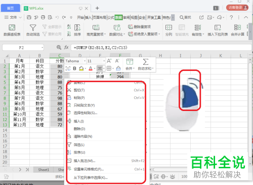 怎么在WPS中使用去除数值保留公式