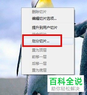 怎么在电脑版Photoshop中使用切片来划分图片