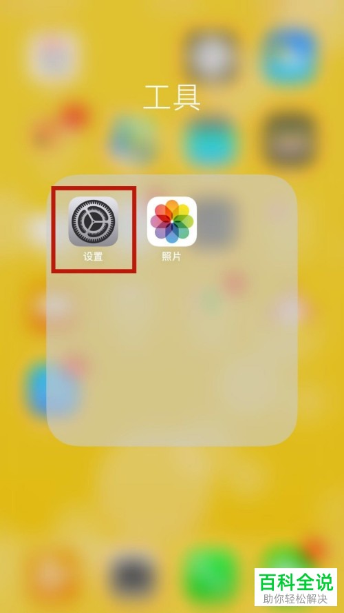 怎么在iphone苹果手机中将4G网络打开？