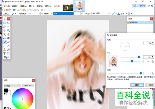 怎么在paintnet中旋转模糊图片