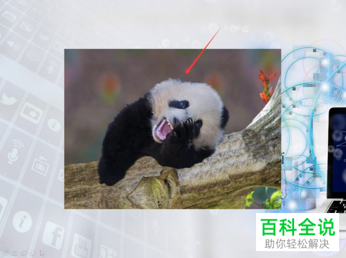 怎么在PPT文档中插入GIF动图