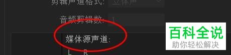 怎么在PR软件中设置媒体的源声道