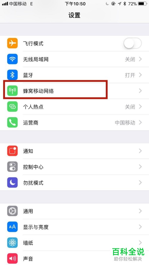 怎么在iphone苹果手机中将4G网络打开？