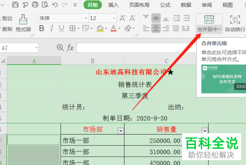 怎么在WPS表格中批量合并同类项